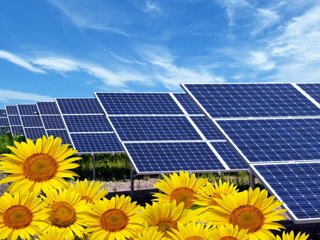 株式会社グローブ